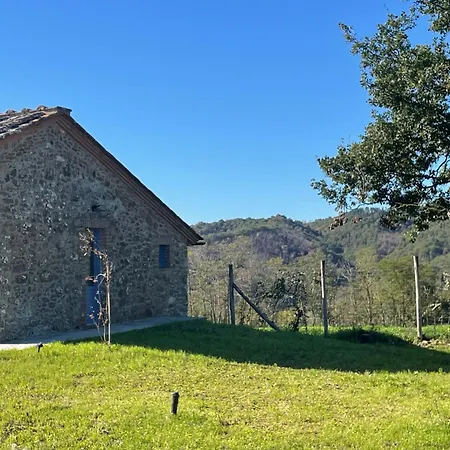 Altogiardino Chianti Senese Rosennano