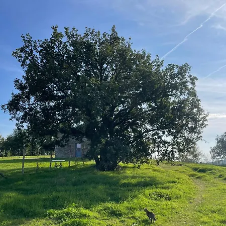 Villa Altogiardino Chianti Senese *